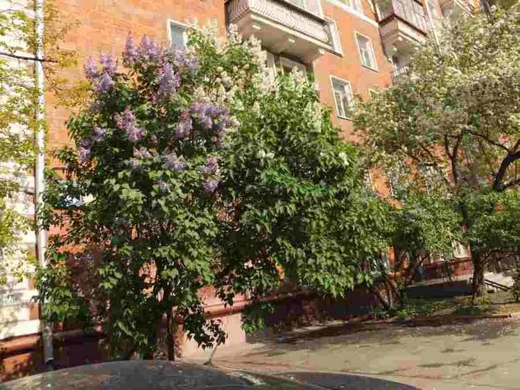 м. Полежаевская, ул. Куусинена