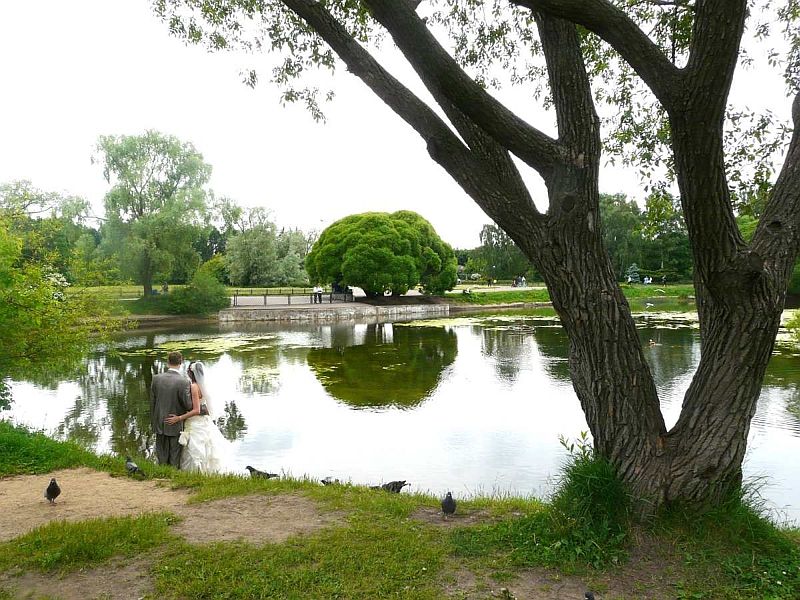 Свадьба на лоне природы