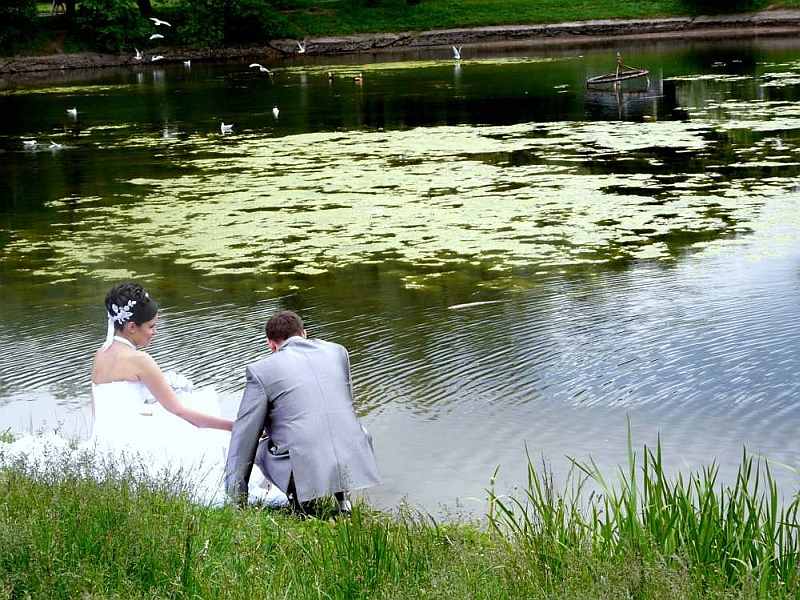 Свадебная пара в Ботаническом саду в Москве